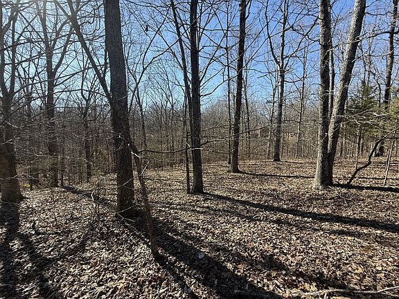 4th image of 28 Backwoods Estates Lot 28