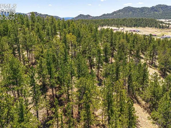 56 Dallas Park Cir, Florissant, CO 80816