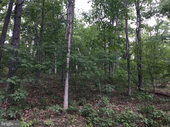 0 Locust Ln, Mount Jackson, VA 22842