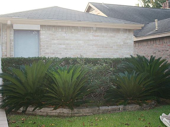 3rd image of 3102 Misty Park Dr
