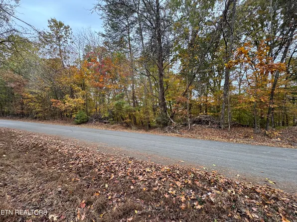 Mountain View Ln, White Pine, TN 37890