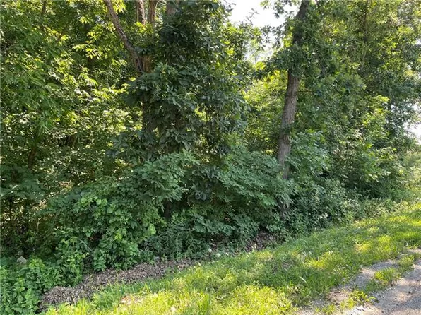 1916 Lake Viking Ter, Gallatin, MO 64640