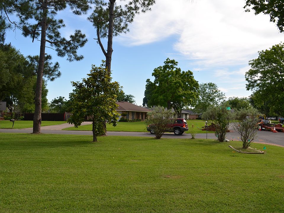 Front yard ( left corner)