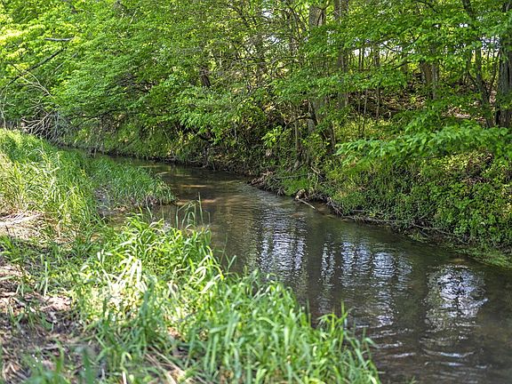3rd image of TRACT 2 Ford Reed Rd
