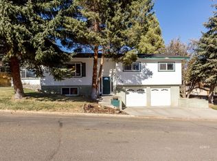 1239 Mountain View Dr, Elko, NV 89801