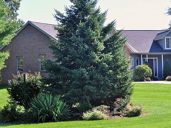 3rd image of 441 Goldcrest Dr