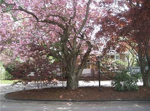 3rd image of 25 Victory Ave