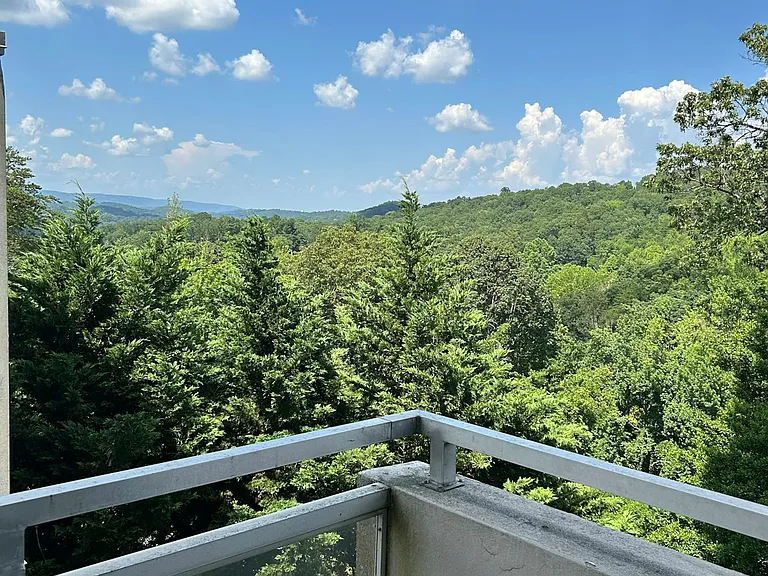1131 Stringers Ridge Rd #3C — Photo 13