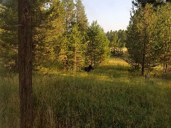 2nd image of 3505 Deer Ln