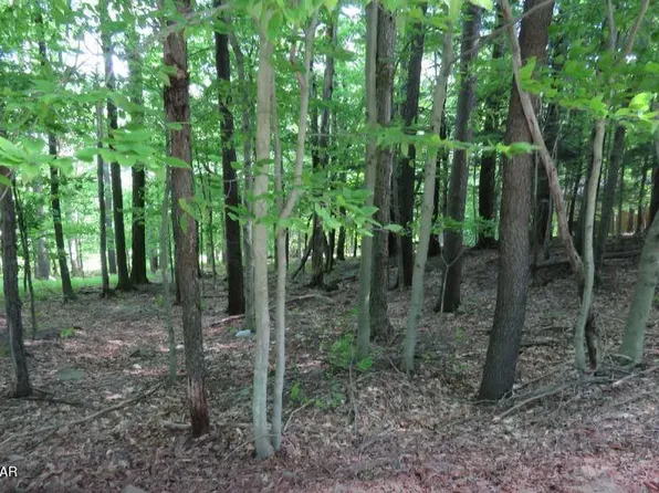 3006 Buck Hl, Greentown, PA 18426