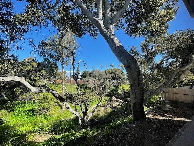 2555 Solano Rd #D — Photo 8