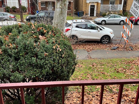 4th image of 341 Melwood Ave #A