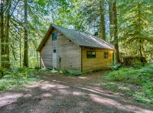 26105 E Henry Creek Rd, Rhododendron, OR 97049