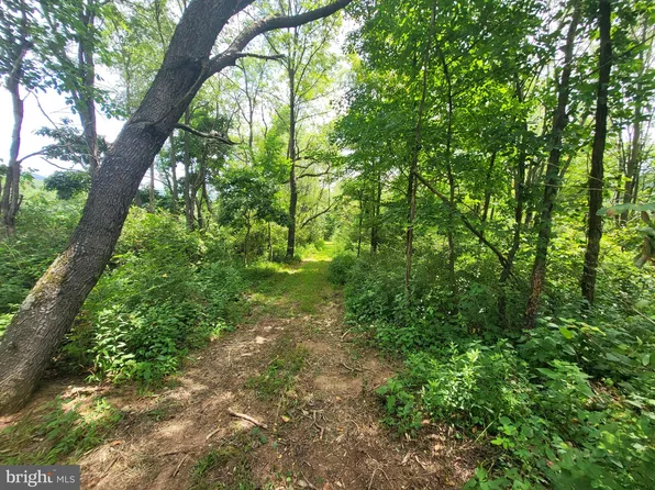 0 Drifted Ln, Amberson, PA 17210