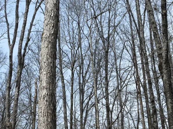 County Road 29, Calhoun, TN 37309