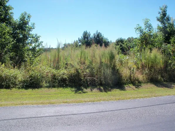 4099 Jesterville Rd, Tyaskin, MD 21865