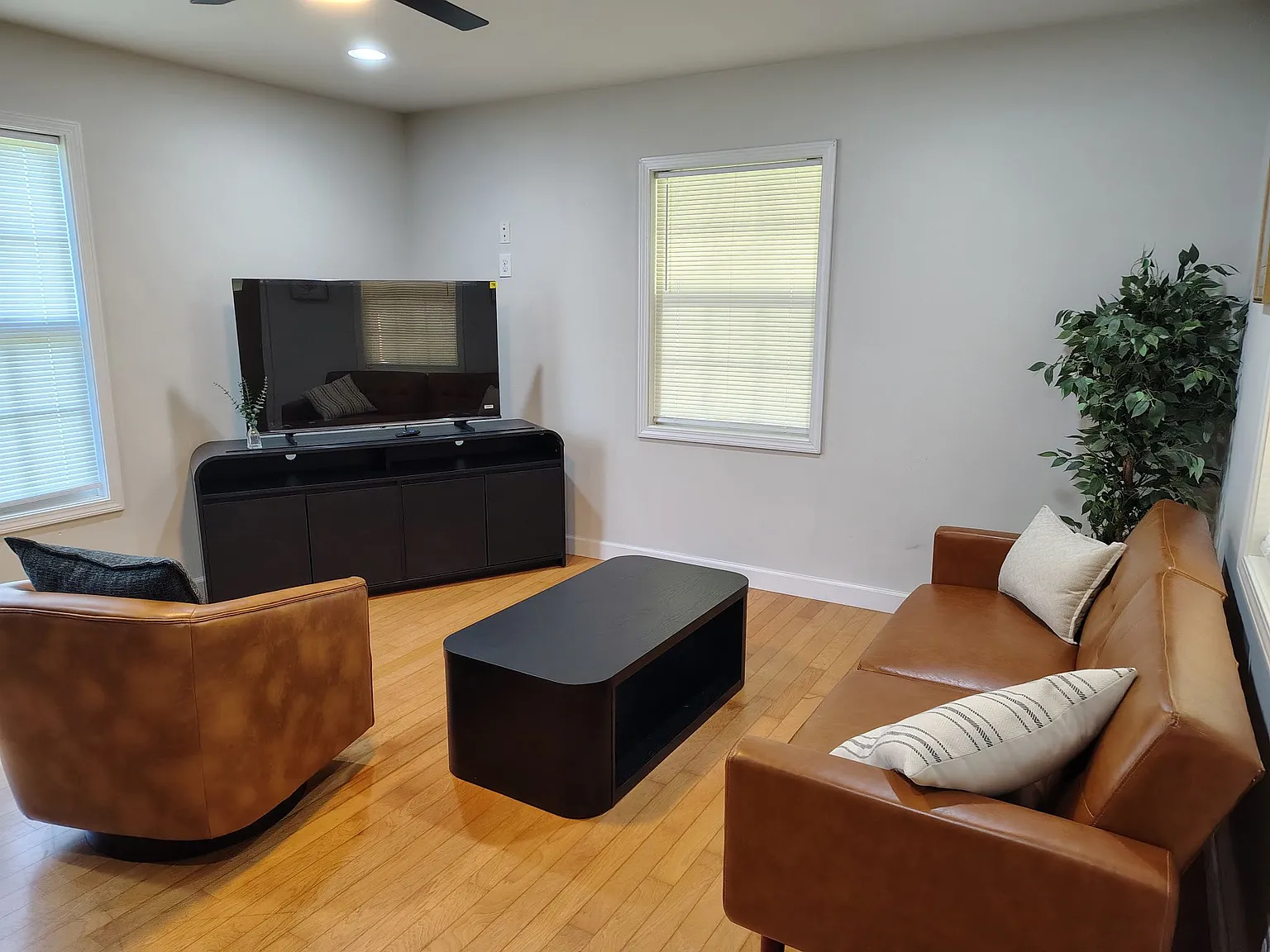 1 bed, 1.0 bath, 800 sqft, $2,000 — Photo 2