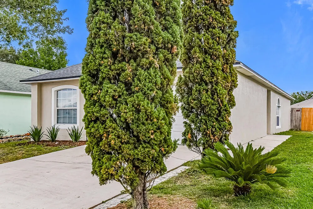 3 bed, 2.0 bath, 1292 sqft, $1,775 — Photo 3