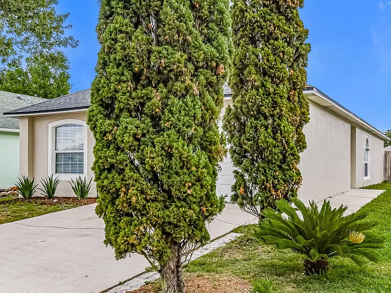 3347 Net Ct — Photo 3