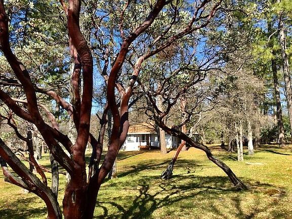 3rd image of 4551 Paseo Pinar