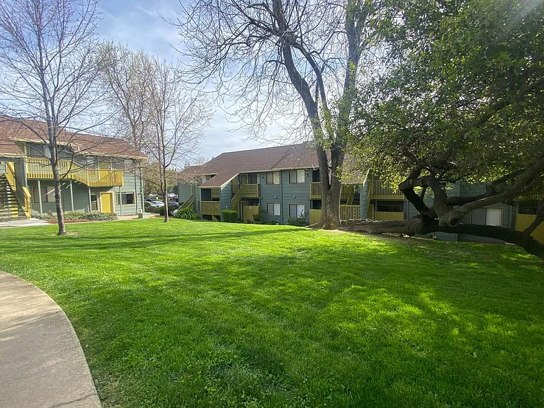 Olive Glen — Photo 23
