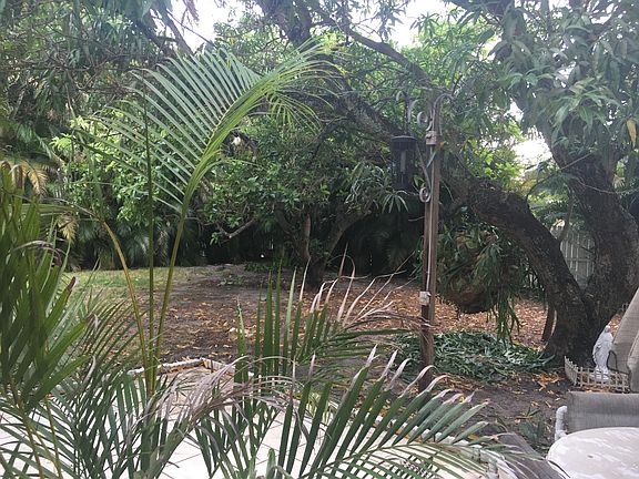 Large backyard