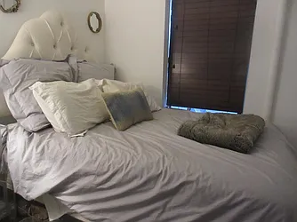 Rented by Mdrn Residential