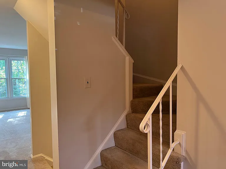 7384 Jiri Woods Ct — Photo 16