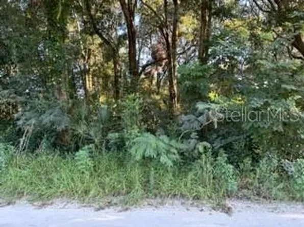 SE 140th Pl Lot 1, Summerfield, FL 34491