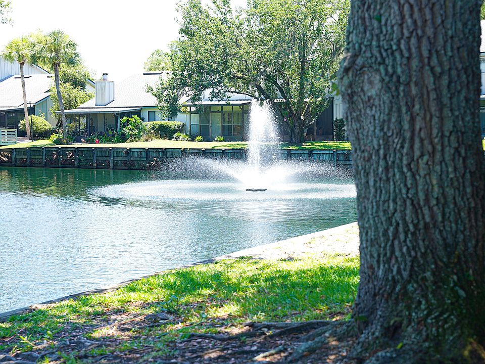View from Back Yard