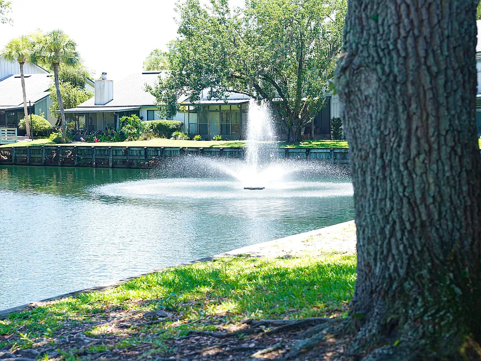 View from Back Yard