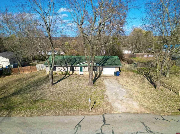 123 Delicious Ln, Mountain Home, AR 72653