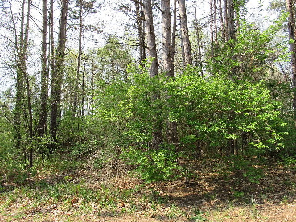 1st image of 176 Norfolk Way