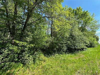 TBD 140th Street, Amery, WI, 54001