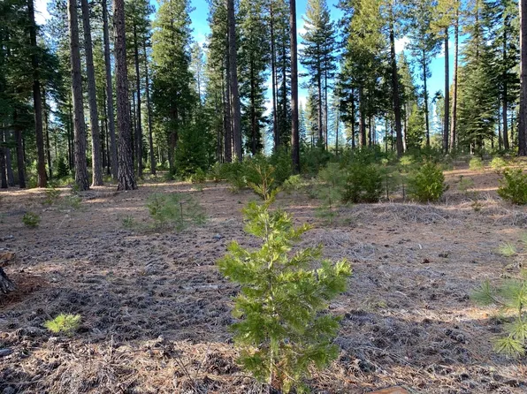 22 Brooms Edge Pl, Shingletown, CA 96088