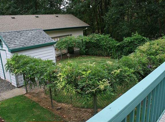 Fully-enclosed pet run and powered utility shed with new roof and siding.