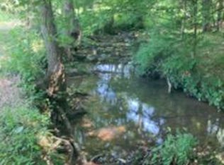 1222 Smith School Rd, Strawberry Plains, TN 37871