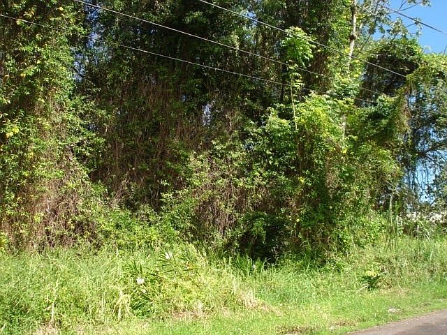 2nd image of Hapuu Dr Lot 11