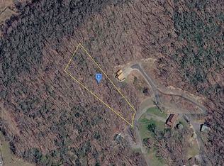 226 Black Bear Rdg, Roan Mountain, TN 37687