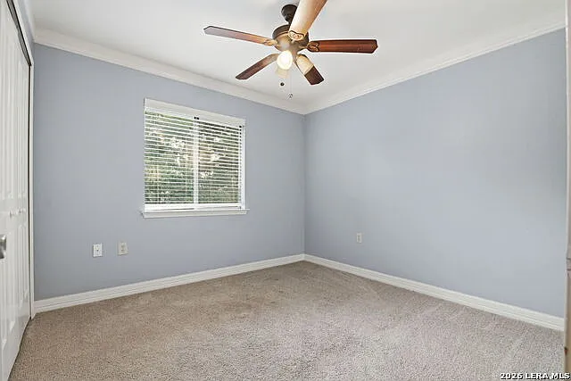 6915 Raintree Frst — Photo 28