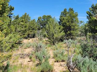 Tbd Rd W, Dolores, CO 81323