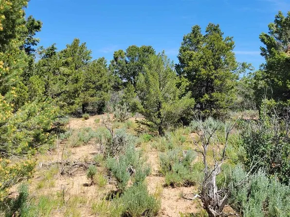 TBD Road W, Dolores, CO 81323
