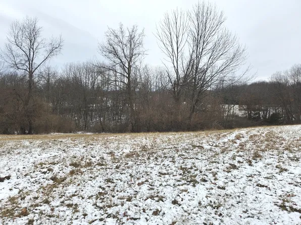 1028 Plum Cir, Varna, IL 61375