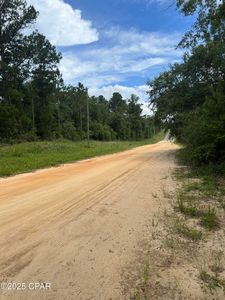 25 Aster Cir, Marianna, FL, 32448