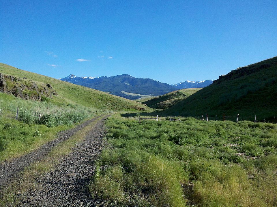 2nd image of Lone Gulch
