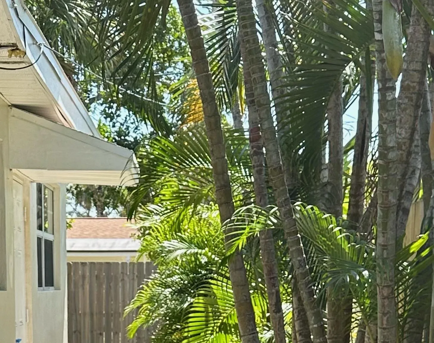 Hedgegrove Ave, Satellite Beach — Photo 4