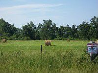 1st image of 53 Brooke Ln