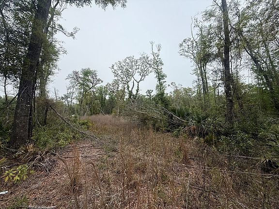 4th image of LOT 12 NE 355th Ave