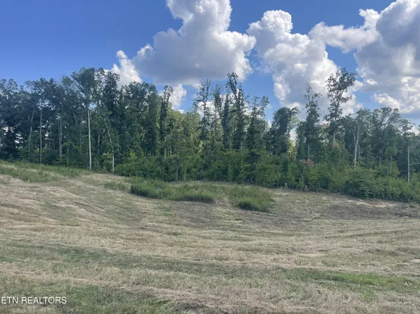16 Laura Boling Loop Rd Lot 16, Strawberry Plains, TN 37871