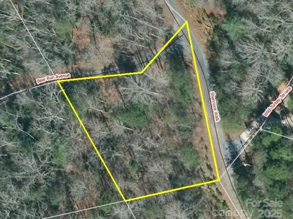 0 Bear Run Ave #175, Lake Lure, NC 28746